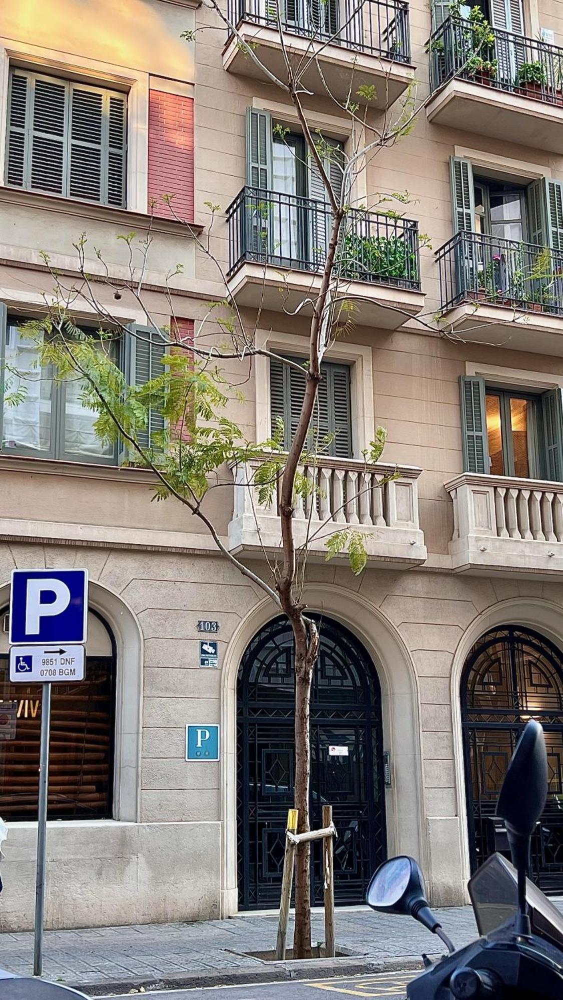 Hostal Madrazo Barselona Dış mekan fotoğraf